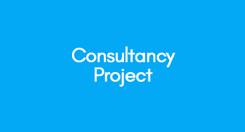 Consultancy Project