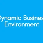 Dynamic-Business-Environment