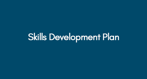 Skills Development Plan
