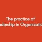 the-practice-of-leadership-in-organizations