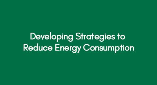Developing Strategies to Reduce Energy Consumption