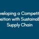 Developing a Competitive Position with Sustainable Supply Chain