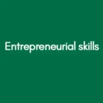Entrepreneurial skills