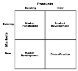 Business Strategies: Tesla Inc 