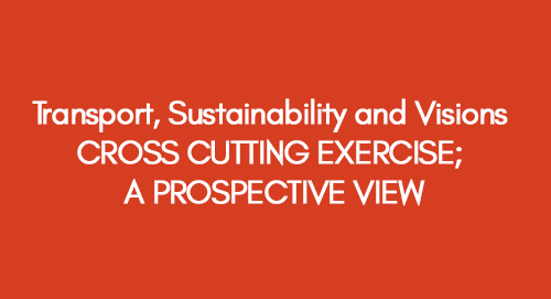 Transport, Sustainability and Visions CROSS CUTTING EXERCISE; A PROSPECTIVE VIEW