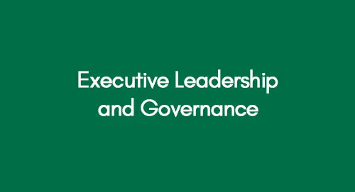 Executive Leadership and Governance
