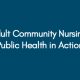 Adult-Community-Nursing-Public-Health-in-Action
