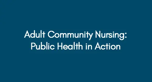 Adult-Community-Nursing-Public-Health-in-Action