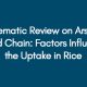 Systematic-Review-on-Arsenic-in-Food-Chain-Factors-Influencing-the-Uptake-in-Rice