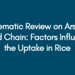Systematic-Review-on-Arsenic-in-Food-Chain-Factors-Influencing-the-Uptake-in-Rice