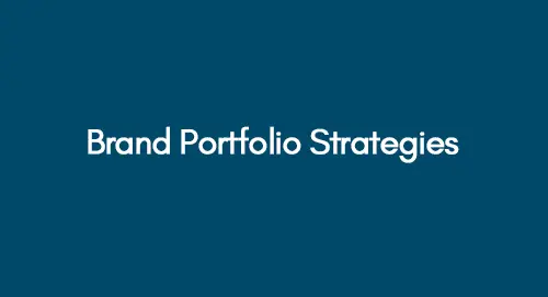 Brand Portfolio Strategies