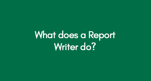 What-does-a-Report-Writer-do