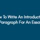 How To Write An Introduction Paragraph For An Essay