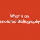 What-is-an-Annotated-Bibliography