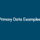 Primary Data Examples
