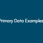 Primary Data Examples