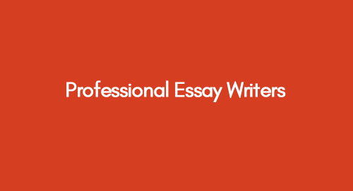 Professional Essay Writers