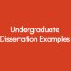 Undergraduate Dissertation Examples