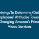 Determining/To Determine/Determine Employees’ Attitudes Towards Changing Amazon’s Prime Video Services