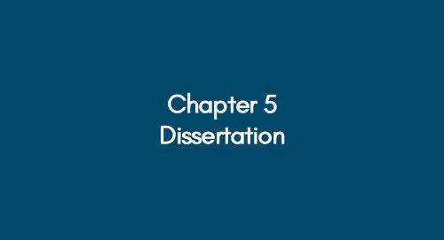 dissertation examples politics