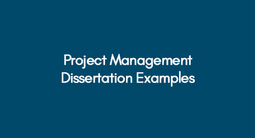 projects dissertation examples