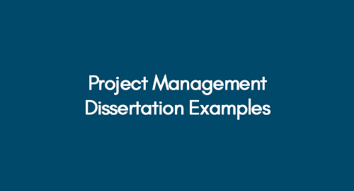 msc project management dissertation examples