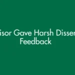 Supervisor Gave Harsh Dissertation Feedback? Here is What to Do Next