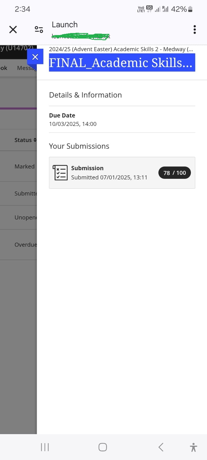 78/100 Academic Skills