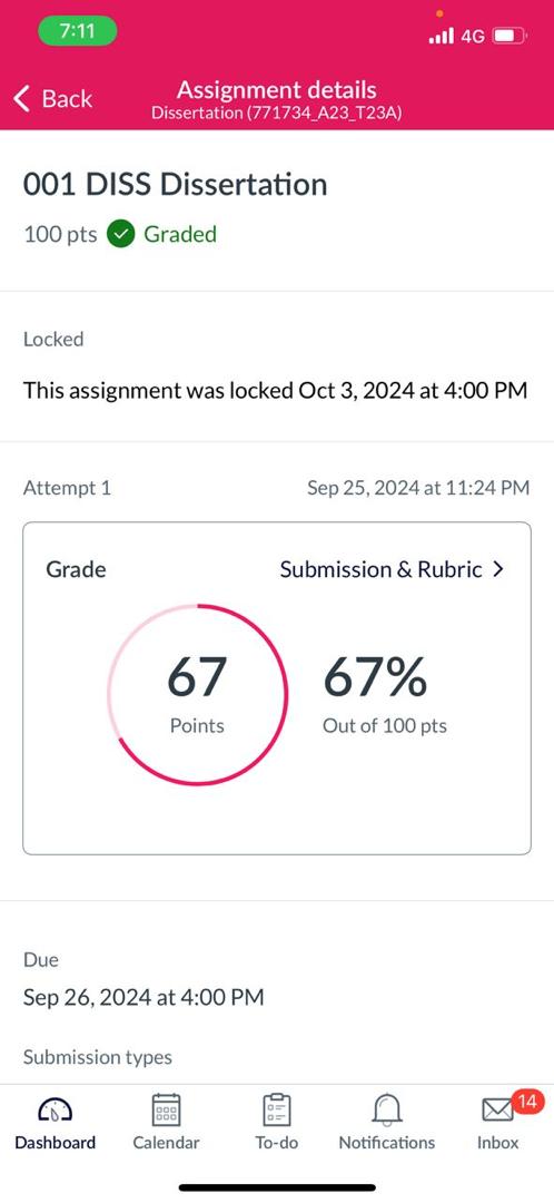 67/100 Dissertation